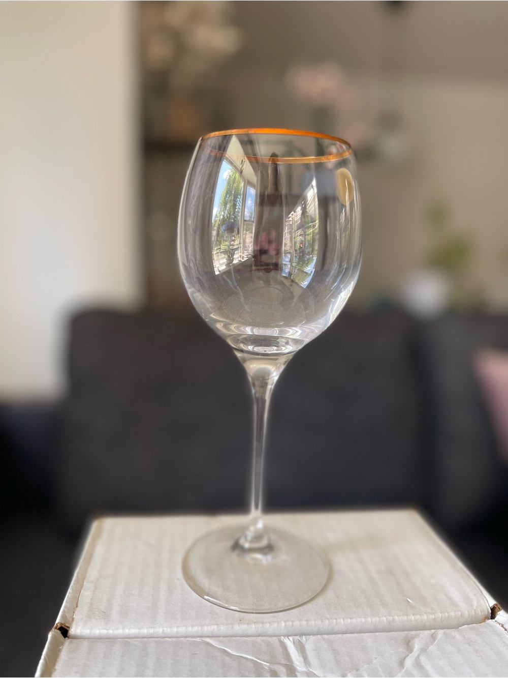 WINE GLASSES BY ROYAL PRESTIGE PLATINUM TRIM